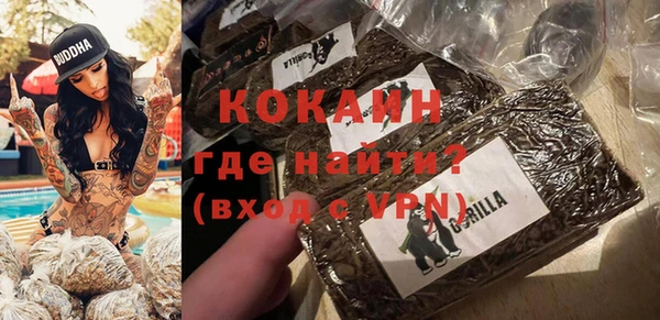 гашик Вуктыл