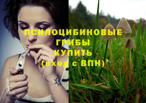 ECSTASY Осинники