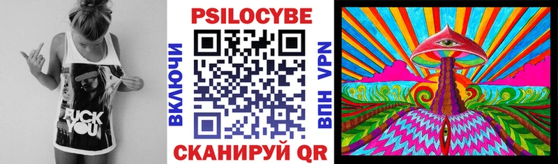 где найти наркотики  OMG онион  Галлюциногенные грибы GOLDEN TEACHER  Курганинск 