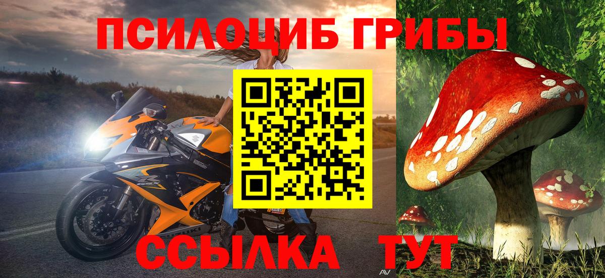 Галлюциногенные грибы Psilocybe  Псилоцибиновые грибы Magic Shrooms  Курганинск  Вход с VPN 